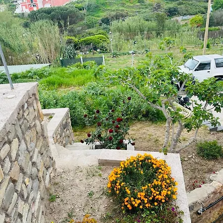Apartment Casa Angelina