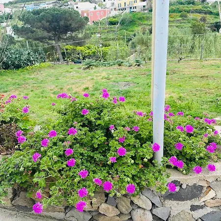 Appartamento Casa Angelina *