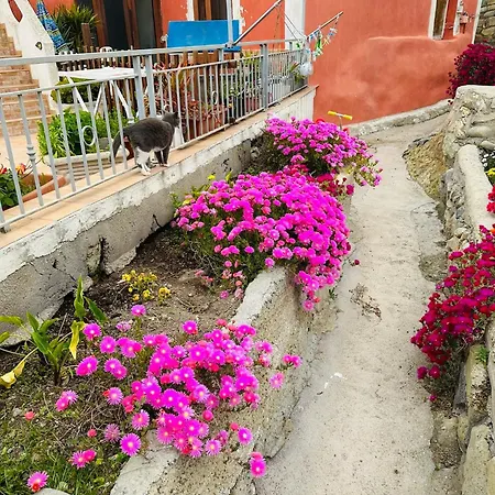 Casa Angelina Apartment